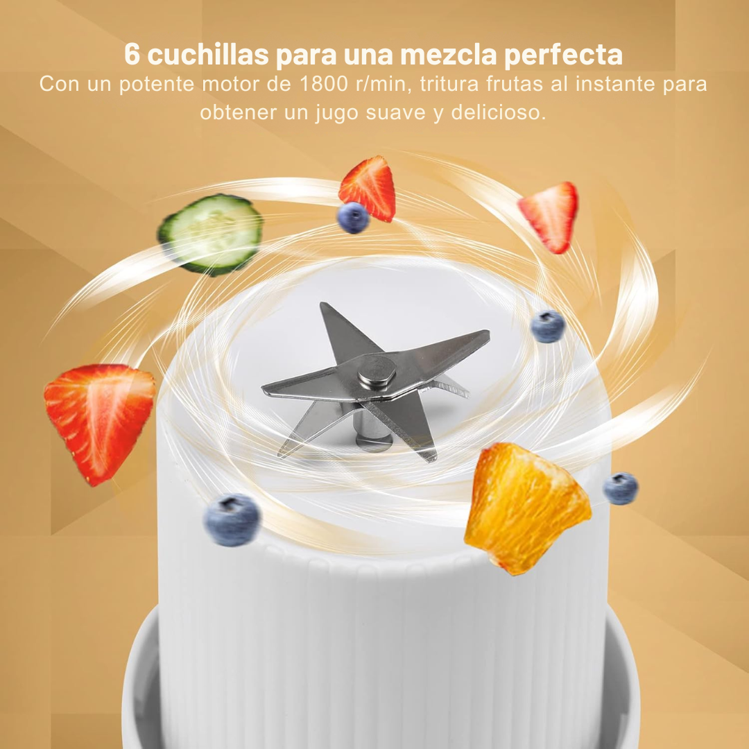 Licuadora portátil